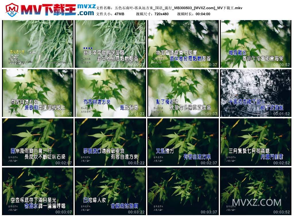 五色石南叶-客从远方来_国语_流行_MB300503